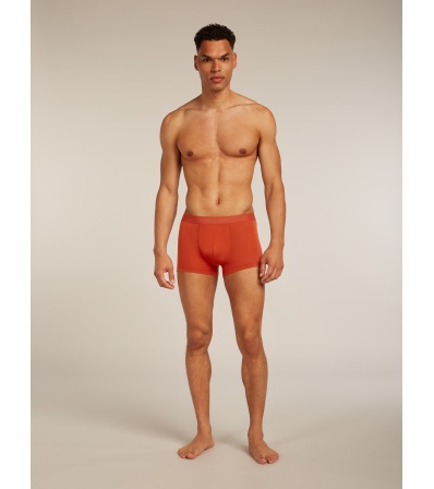Icebreaker Merino Blend 125 Cool-Lite Anatomica Trunks