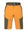 Direct Alpine Fremont Shorts 1.0 M's