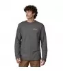 Patagonia Lightweight Unity Fitz Wildrise Crew M's
