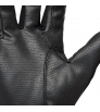 Black Diamond Torque Gloves